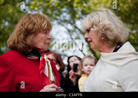 Camilla Parker Bowles meets the public the day before the wedding of Prince William and Kate MIddleton Stock Photo