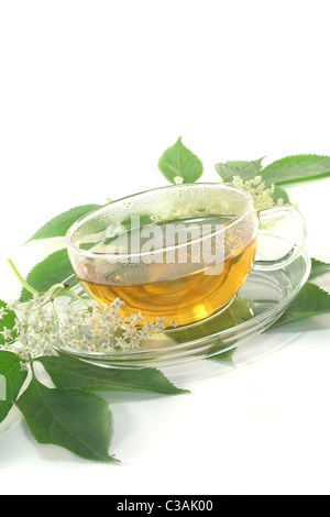 a cup of elderflower tea with a sprig of fresh flowers and leafs Stock Photo