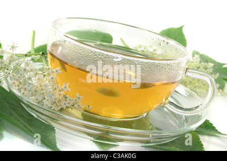 a cup of elderflower tea with a sprig of fresh flowers and leafs Stock Photo