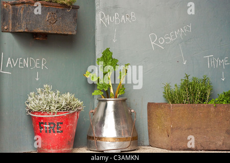 Interesting display of herbs Stock Photo