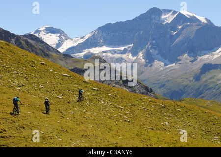 Three mountain bikers ride across an alpine meadow, high in the mountains above the village of Champagny in France. Stock Photo