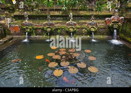 KOI in a pond at PURA GUNUNG KAWI, a Hindu water temple dedicated to the god of wisdom VISHNU - SEBATU, BALI, INDONESIA Stock Photo