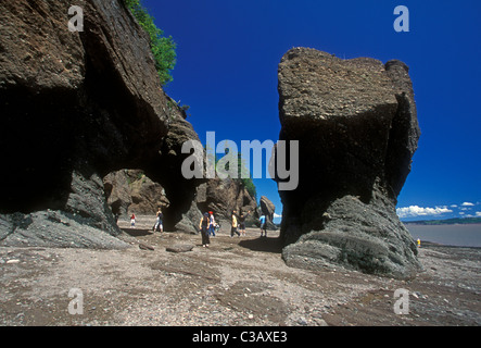 people, tourists, Hopewell Rocks, Bay of Fundy, Baie de Fundy, Hopewell Cape, New Brunswick Province, Canada, North America Stock Photo
