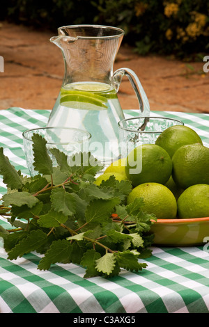 Table setting with limeade limes and bunch of herbs Stock Photo