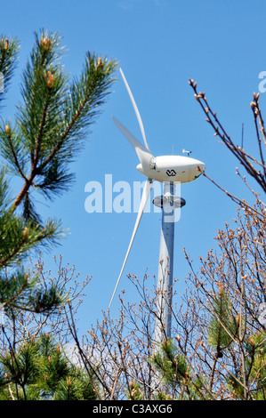 Wind turbine through trees on a sunny blue sky day Stock Photo