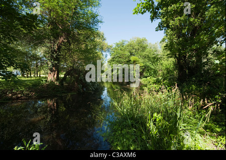 The river Wandle meandering through shady woodland at Morden Hall Park in south west London. Stock Photo