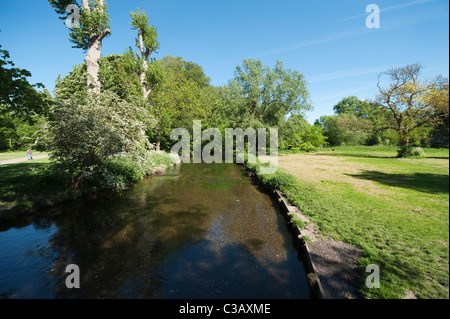 The river Wandle meandering through shady woodland at Morden Hall Park in south west London. Stock Photo