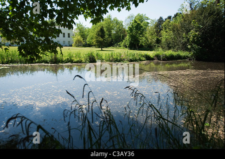 The river Wandle meandering through shady woodland at Morden Hall Park in south west London. Stock Photo