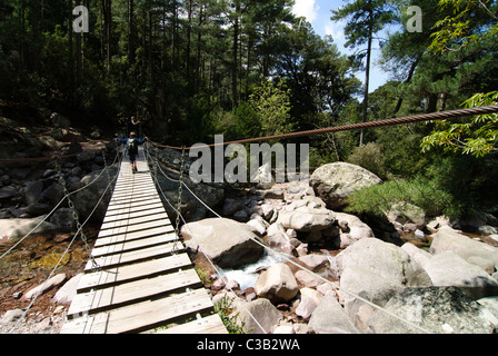 Boy walking on a suspension bridge above rocks, Corsica, France Stock Photo