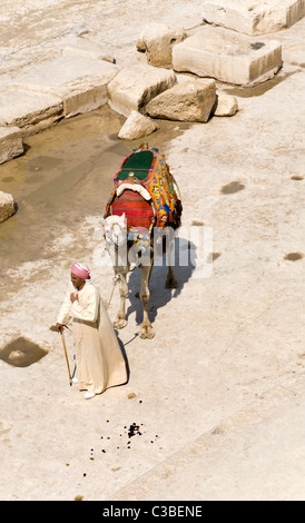 A LOCAL MAN WITH HIS CAMEL AT THE PYRAMIDS OF GIZA, WHICH HE HIRES OUT FOR RIDES TO TOURISTS Stock Photo
