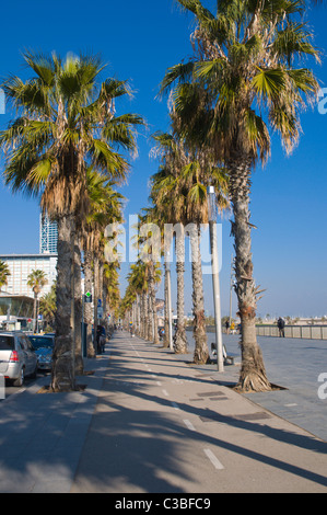 Bicycle lane Passeig Maritim de la Barceloneta seaside promenade Barcelona Catalunya Spain Europe Stock Photo