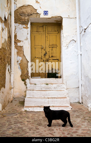 Door, doorstep / door step / steps on typical traditional Spanish house, and a black cat. White city of Ronda, Spain Stock Photo