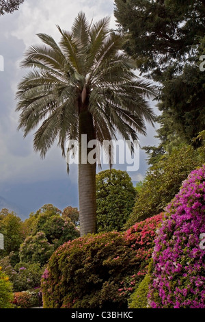 Villa Carlotta und der berühmte botanische Garten Stock Photo