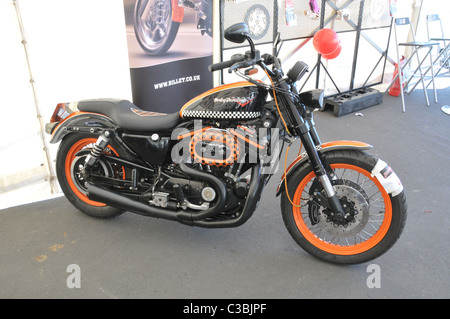 Harley Davidson 1200 Sportster Custom bike. Stock Photo