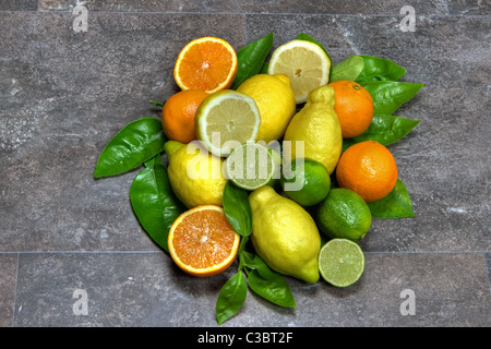 oranges and lemons with leaves Stock Photo
