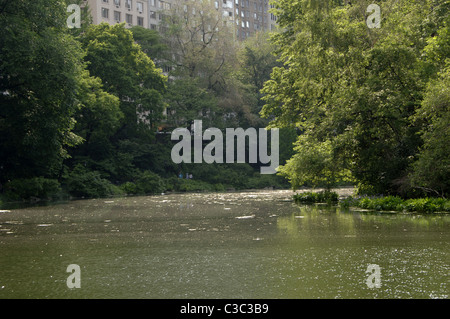 United States. New York. Central Park. Stock Photo