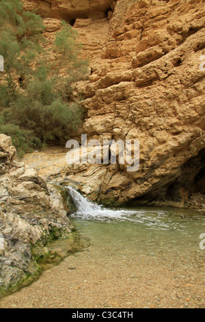 Israel, Ein Bokek by the Dead Sea Stock Photo