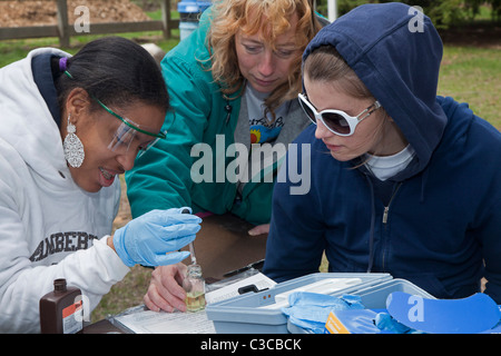 Students Study River Ecology Stock Photo