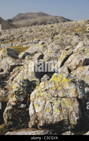 Lichen covered rocks on Great End in the English Lake District, with Scafell Pike in the background Stock Photo