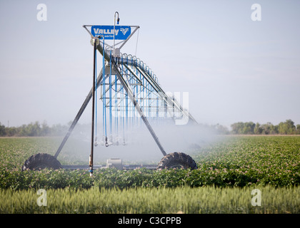 Agricultural irrigation sprinkler system used in commercial farm - Central California USA Stock Photo