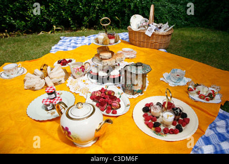 Traditional English cream tea picnic served on vintage crockery Stock Photo