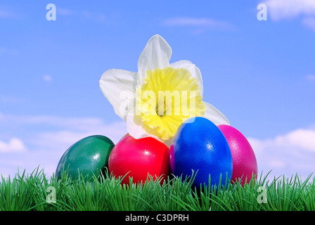 Ostereier auf Blumenwiese mit Himmel - easter eggs on flower meadow and sky 08 Stock Photo