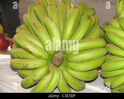 Bananas, Musa X paradisiaca L. Stock Photo