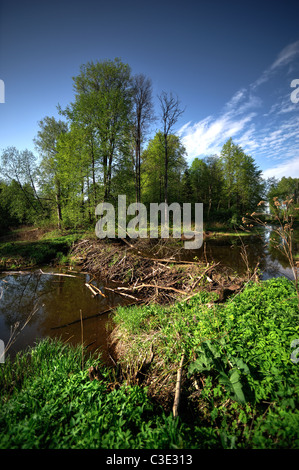 Lama - a river in the Moscow region, Yaropoletskaya hydropower stations Stock Photo