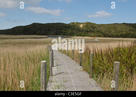 Boardwalk of the Great Ocean Walk near Princetown, Great Ocean Road, Victoria, Australia Stock Photo