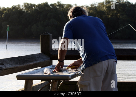 Man gutting fish at Tinchi Tamba Wetlands, Brisbane Queensland Australia Stock Photo