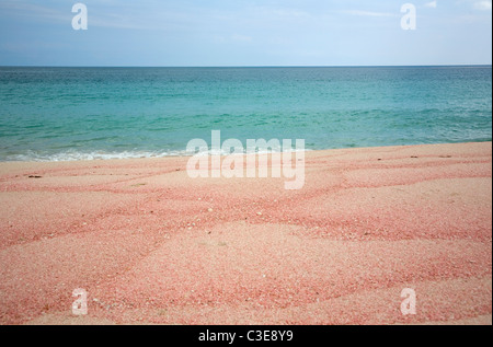 Barbuda's Pink sands Stock Photo