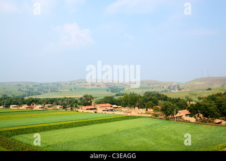 inner mongolia: village and crop field Stock Photo