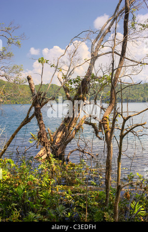 Nong Fa lake, Laos Stock Photo