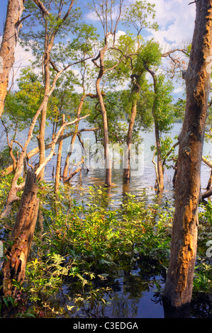 Nong Fa lake, Laos Stock Photo