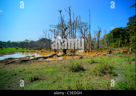 Nong Fa lake, Laos Stock Photo