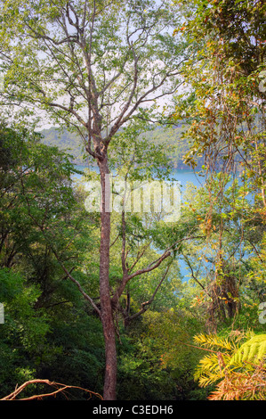 Nong Fa lake, Laos Stock Photo