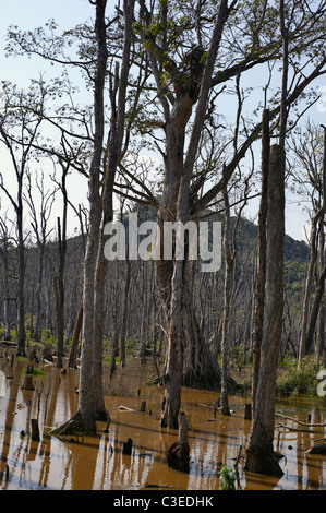 Nong Fa lake, Laos Stock Photo