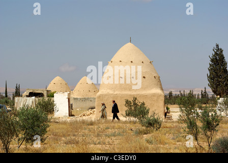 Beehive houses between Palmyra and Homs, Syria Stock Photo