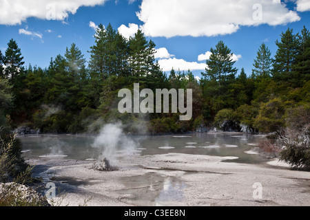 Mud Pool. Geothermal area in Wai-O-Tapu, Rotorua, North Island, New Zealand. Stock Photo