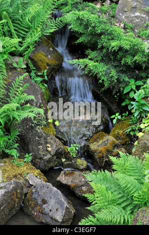 Waterfall in Rock garden. RHS Wisley, Surrey, England Stock Photo