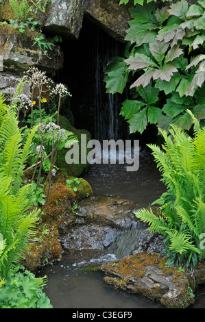 Waterfall in Rock garden. RHS Wisley, Surrey, England. With ferns and Rodgersia Stock Photo