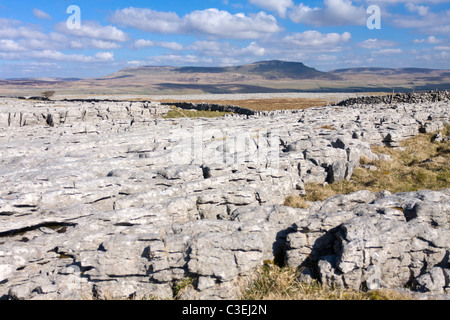 Limestone pavement and Pen-y-ghent Yorkshire Dales UK Stock Photo