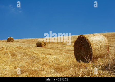 Straw bales in a line under clear blue sky Stock Photo