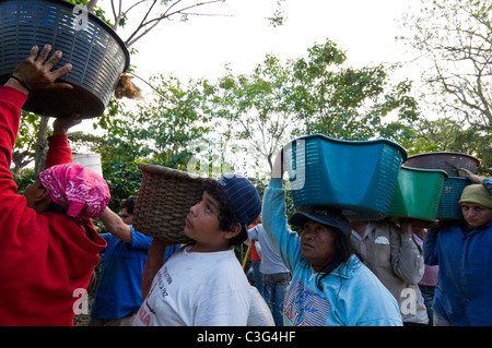 Daily workers picking coffee in the hills of El Rodeo Central Valley Costa Rica Stock Photo