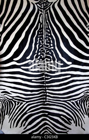 animal zebra skin black and white fur stripes leather background Stock Photo