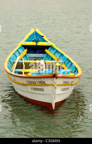 sea gull (Larus dominicanus) landed on a small traditional fishing boat. Garopaba beach, Santa Catarina, south Brazil Stock Photo