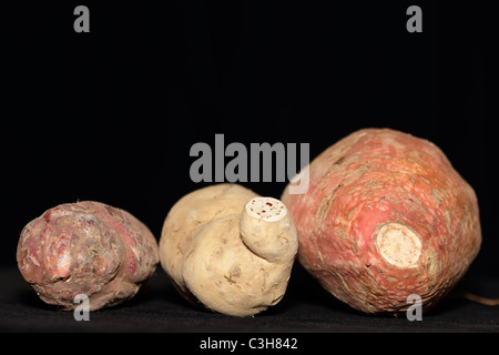 Dried Roots of Sweet Potatoes Stock Photo