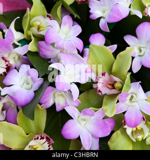Violet and green orchids in wedding bouquet Stock Photo