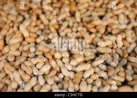 Pile of peanuts in their shells with selective focus. Stock Photo