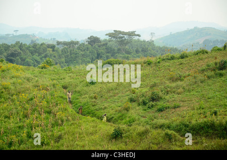 Workers walking home from fields in Eastern Democratic Republic of Congo in January 2011. Stock Photo